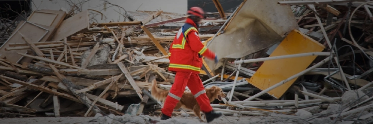 Clientes MEO solidários para com as vítimas do sismo na Turquia e na Síria