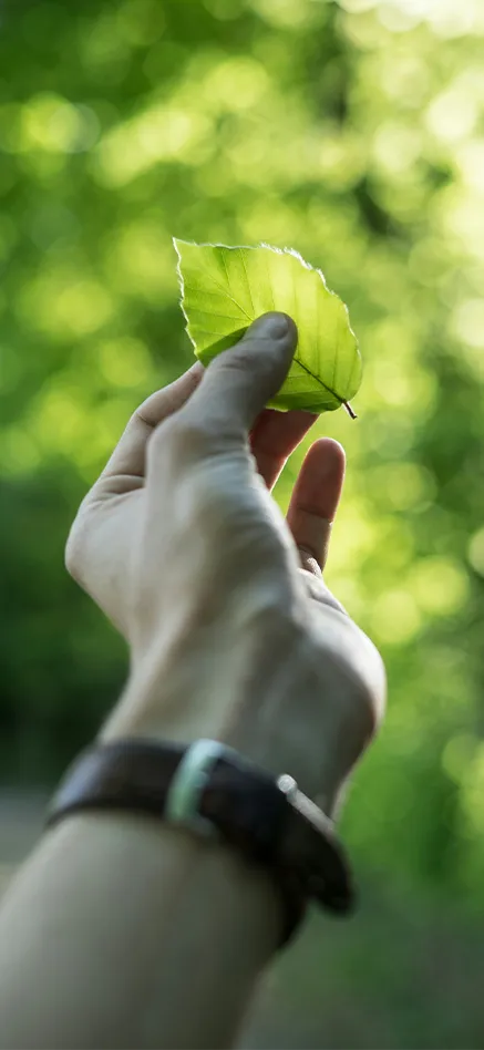 Reduzir as emissões CO2 em 90%